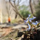 화암사 가는길 이미지