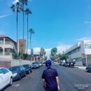 도리토리 이미지