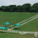 인경목장 이미지