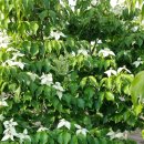 흥해시장 이미지