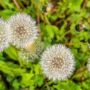 부산과학고등학교 이미지