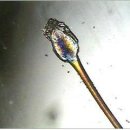 다모드림의원 이미지