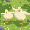 영문축산 이미지