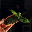 밀마운트농장 이미지