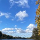 왕실농장 이미지