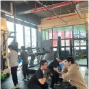 셀럽바디 이미지