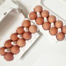 양촌농원 1농장 이미지