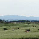 밀밭농장 이미지