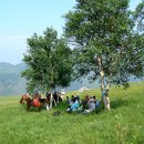 대각주유소 이미지