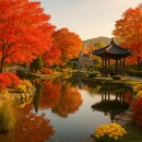 광탄면 삼거리 | 🌿 2025년 경기 파주 벽초지수목원 가이드