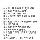[부처님 말씀] 네 종류의 말[馬] 이미지