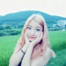 진하누 - 767 | 진하누