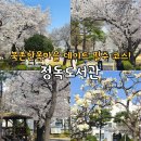초록향기작은도서관 | 북촌 한옥마을 코스 삼청동 데이트 정독도서관 벚꽃 실시간