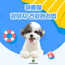 미사동물병원 이미지