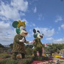 세븐일레븐 대전월평공원점 | 대전 가볼만한곳 유성국화축제 유림공원 가을나들이