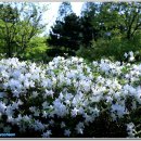 BBC 당구장 이미지