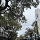 브라가 | 반둥 브라가 거리(Braga Street) 여행 후기 | 낮보다 밤이 더 예뻤던 반둥 감성 명소