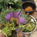 [수원/인계동] 맛집 내돈내산, 30가지 쌈 채소 가득한 무영쌈밥정식 🥬내돈내산 솔직후기