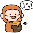 티앤스파펜션 이미지