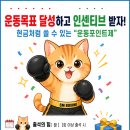 용인대SM복싱클럽 만수점 | [공지] [용인대SM복싱클럽 만수점] "내일부터 시작해야지"라는 결심, 바로 지금입니다!