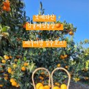 보메와산 이미지