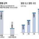 (펀드) ELS 수익률기준 바꿨지만 실효성은 '미흡' 이미지