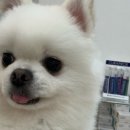 서울메이치과병원 이미지