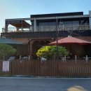 개밥주는여자 이미지