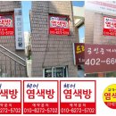 다온염색방