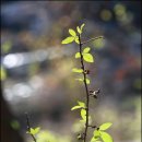 개산초등학교 이미지