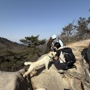 쉐레이암반수사우나