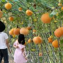 구암이용원 - 창원시 마산회원구 구암서2길 36 | 구암이용원