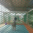 금바위농장 이미지