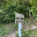 푼타하우스 이미지