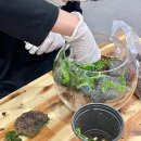 감전동행정복지센터 이미지