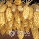 (주)디지털실크로드 이미지