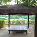 봉제산 무궁화공원 이미지