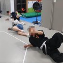 태껸청계관