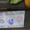 맛있는 감귤 소과 소량 판매 이미지