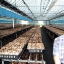 김동일농장 이미지