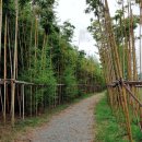 귀래생태공원 이미지