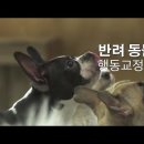 탁이네 이미지