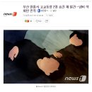 부산 원룸서 29살 고교동창 2명 숨진 채 발견… 냄비 착화탄 흔적 이미지