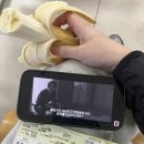 은호목장 | <만약에 우리> 촬영지 남해 나혼자 당일치기 가성비 여행 코스 추천