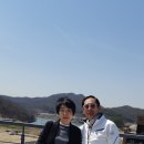 최진희 아트카페 이미지