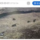 은영목장 이미지