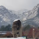 사랑의둥지 이미지