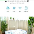 이신우 이미지