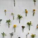 우리바다 이미지