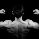 건강근력운동 이미지